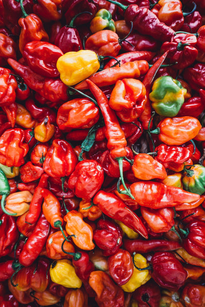 Cayenne Pepper (capsicum annuum)